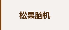 北京松果脑机技术有限公司